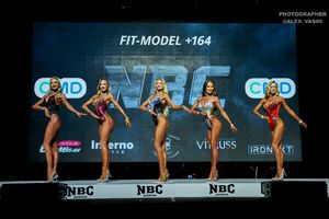 FIT-MODEL +164 1 раунд